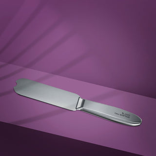 Staleks Foot Rasp Metal Base Expert 10 Type 10 (MBE-10) By Fay